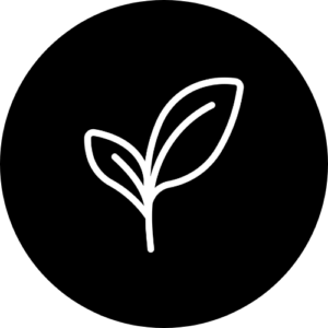 Alpinter - Untitled (500 x 500 px) (1)